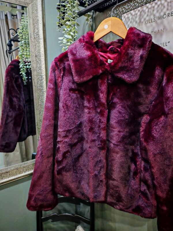 Brave & True Steinway Jacket Wine - Image 3