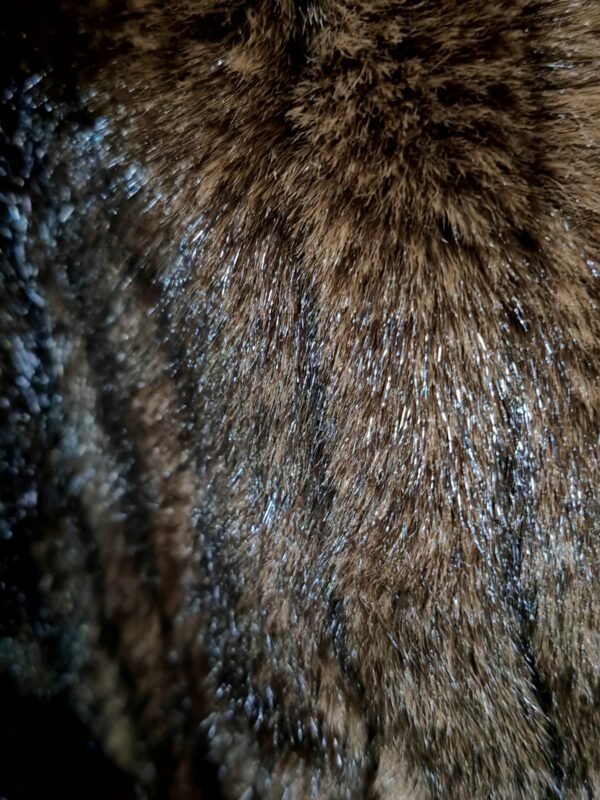 Faux Fur Cape - Image 4